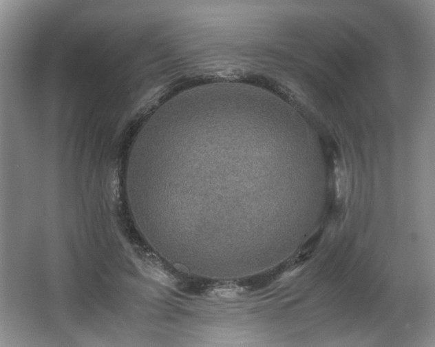 X0000066000595200603061325