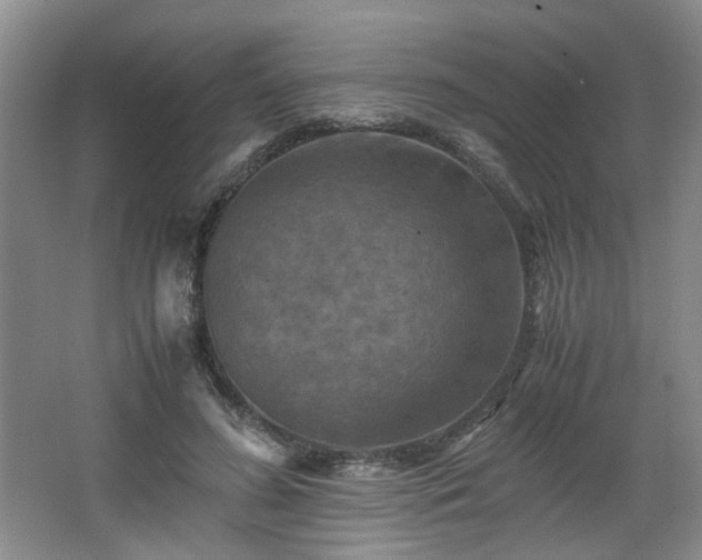 X0000066000596200603061325