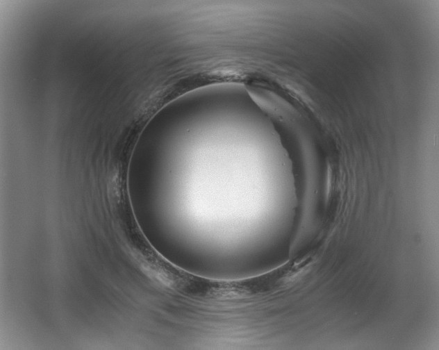 X0000066000597200603061325