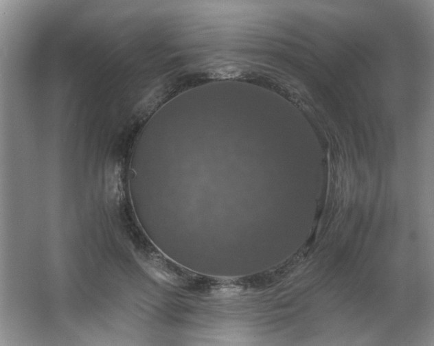 X0000066000598200603061325