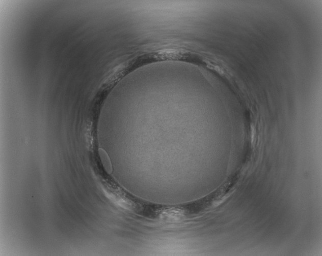 X0000066000599200603061325