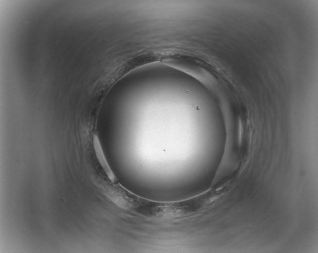 X0000066000601200603061325