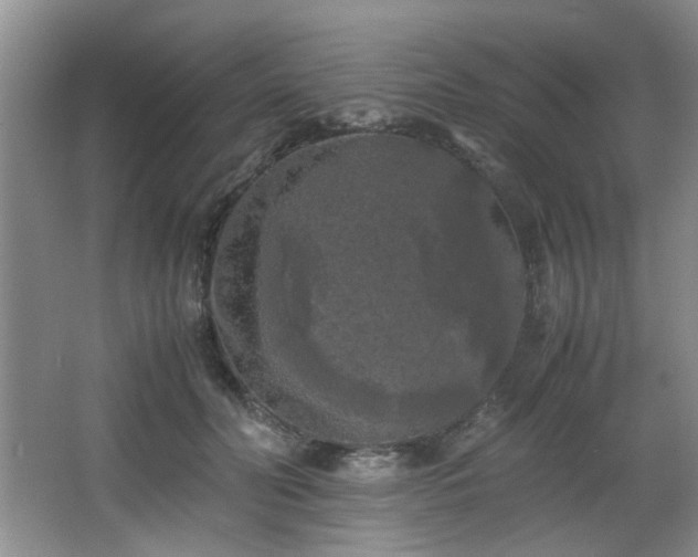 X0000066000606200603061325