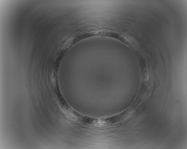 X0000066000607200603061325