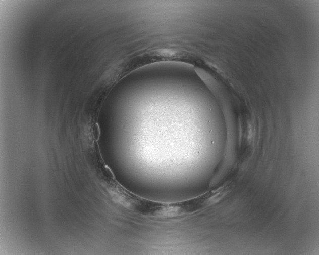 X0000066000609200603061325