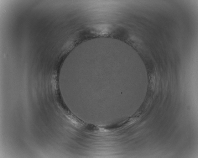 X0000066000612200603061325