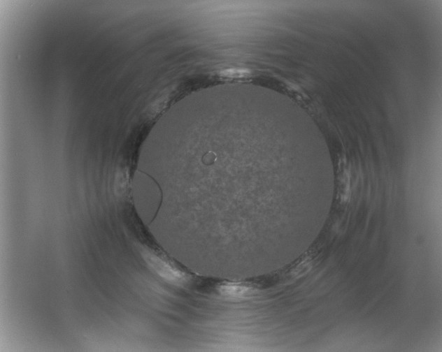 X0000066000614200603061325