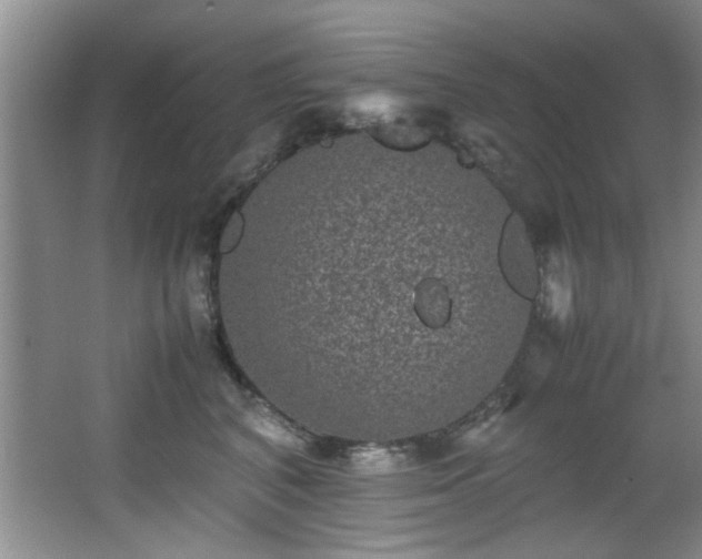 X0000066000616200603061325