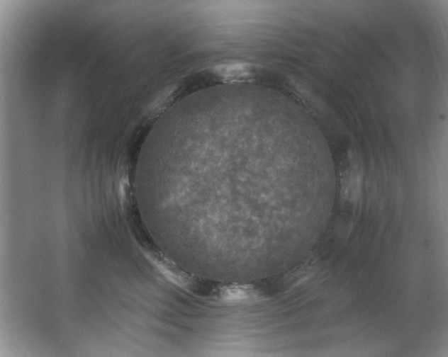 X0000066000618200603061325