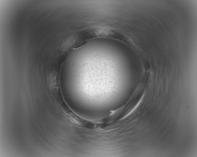 X0000066000619200603061325