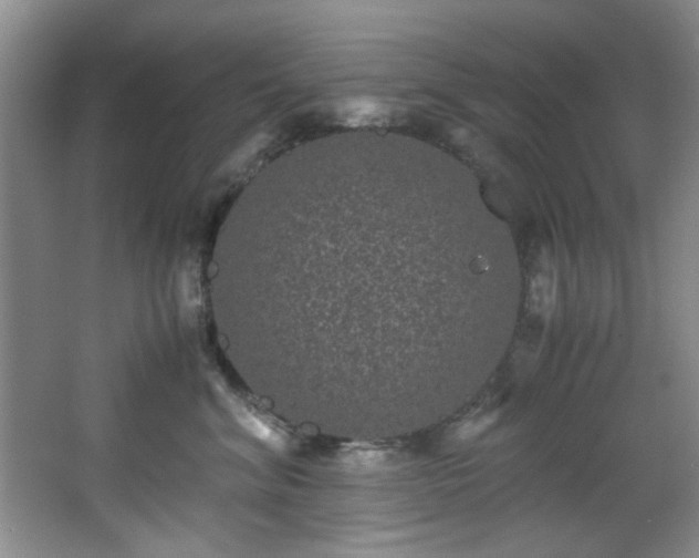 X0000066000620200603061325