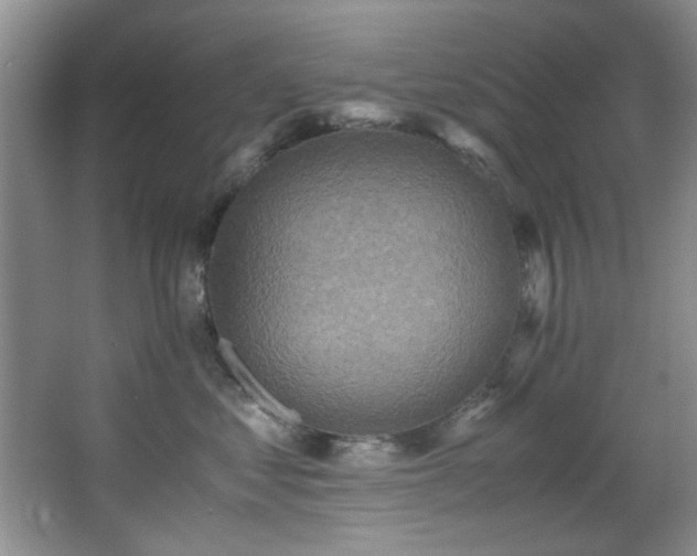 X0000066000621200603061325