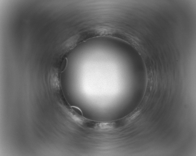 X0000066000622200603061325