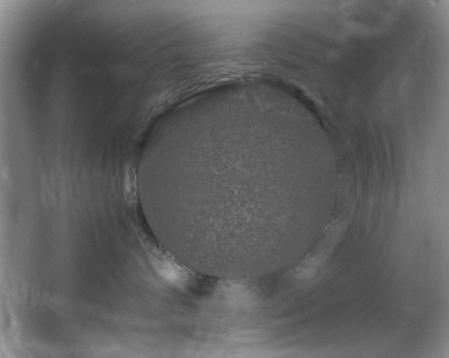 X0000066000624200603061325