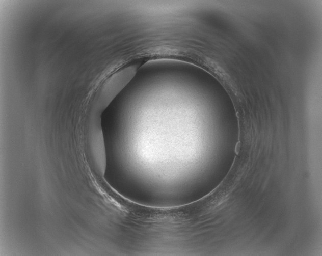 X0000066000625200603061324