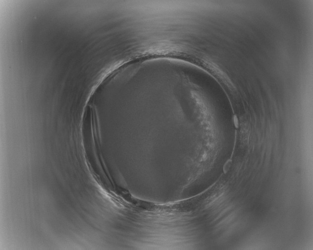 X0000066000626200603061324