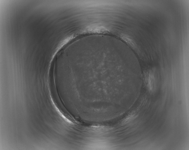 X0000066000630200603061324