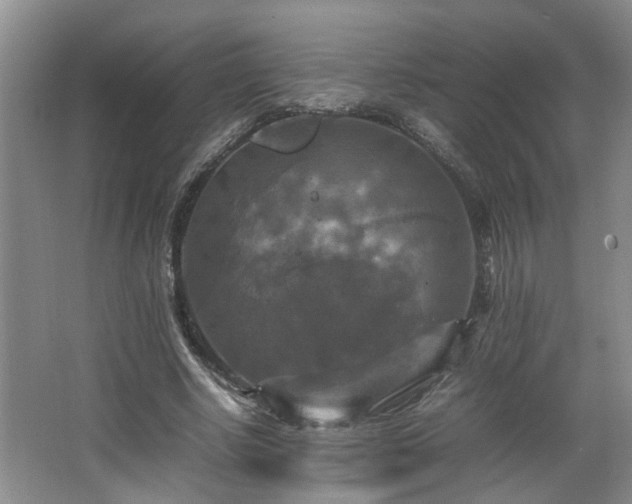 X0000066000634200603061324