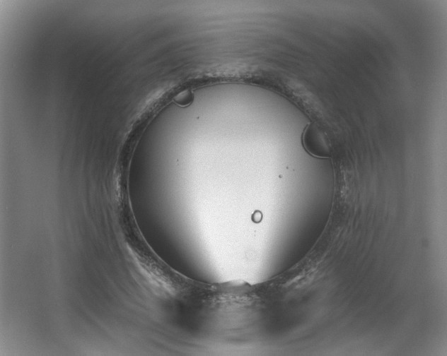 X0000066000636200603061324