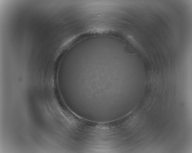 X0000066000640200603061324