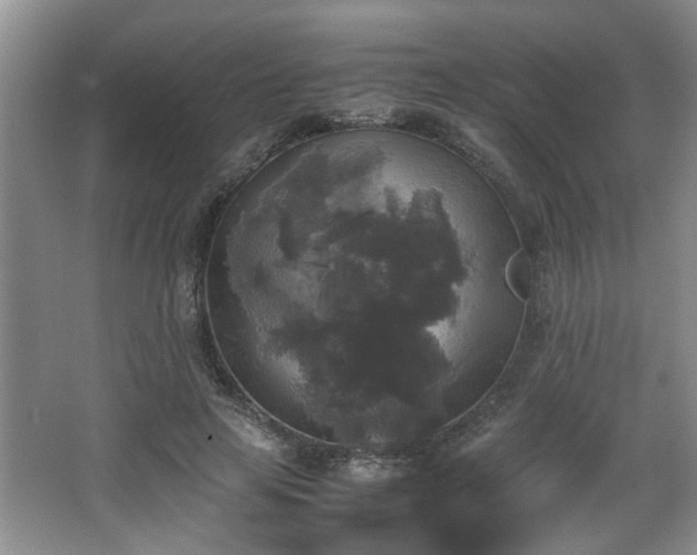 X0000066000641200603061324