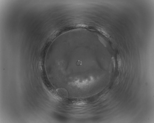 X0000066000643200603061324