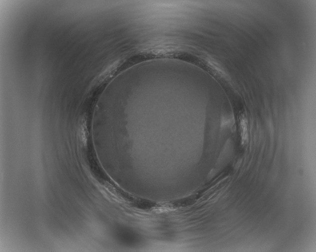 X0000066000644200603061324