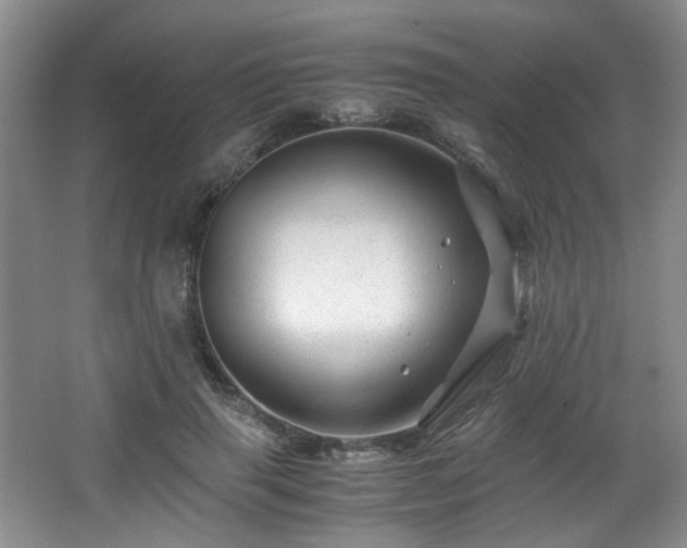 X0000066000645200603061324