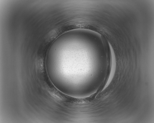 X0000066000646200603061324