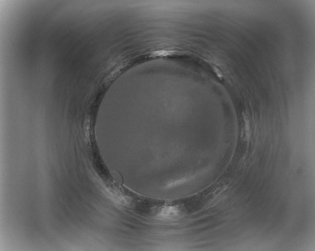 X0000066000647200603061324