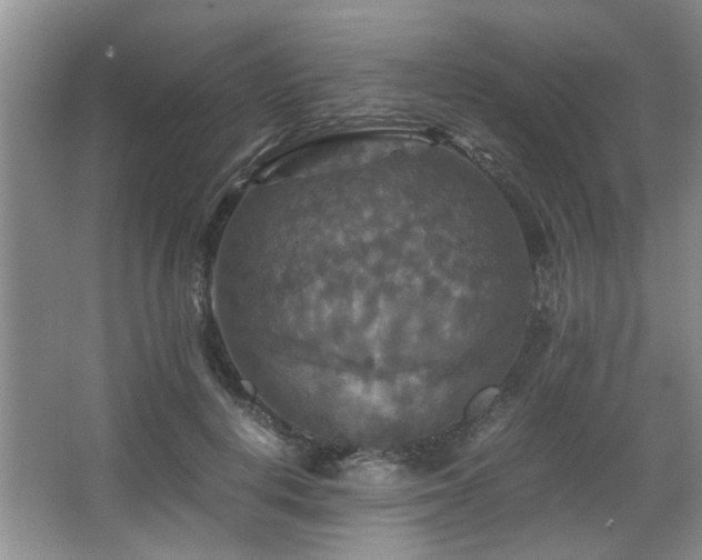 X0000066000648200603061324