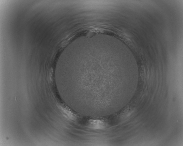 X0000066000649200603061324