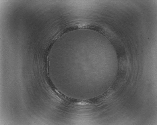 X0000066000650200603061324