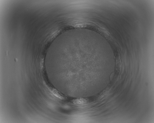 X0000066000652200603061324