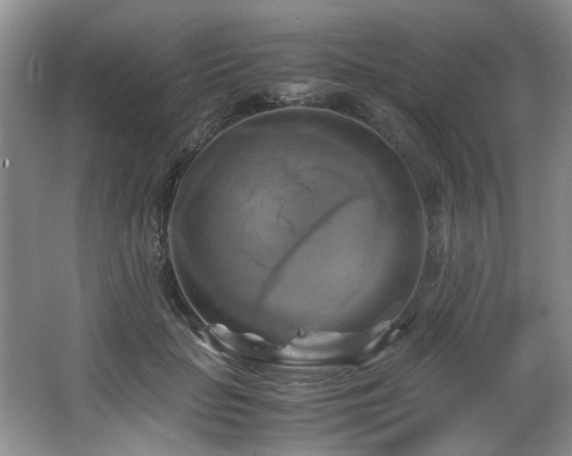 X0000066000653200603061324