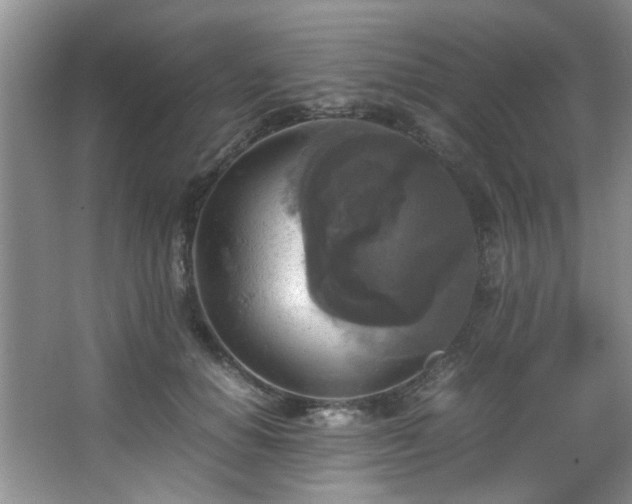 X0000066000654200603061325