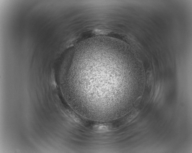 X0000066000655200603061325