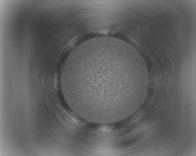 X0000066000656200603061325