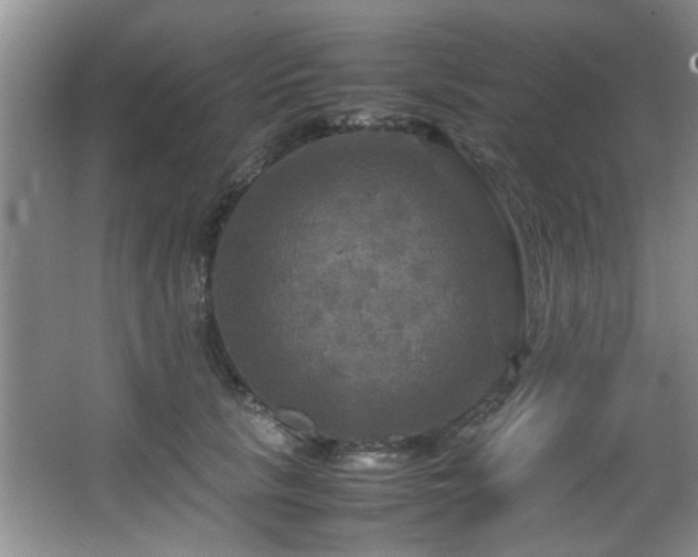 X0000066000657200603061325