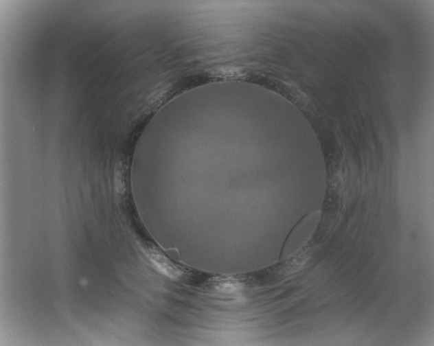 X0000066000658200603061325