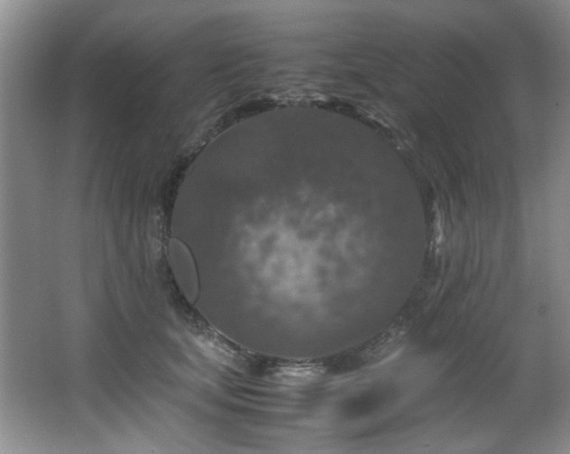 X0000066000659200603061325