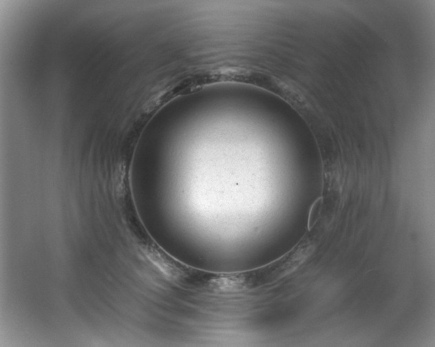 X0000066000660200603061325