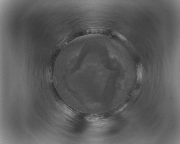 X0000066000661200603061325