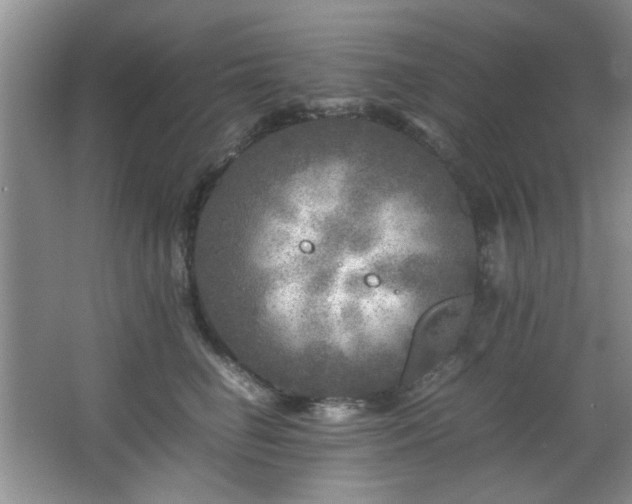 X0000066000662200603061325