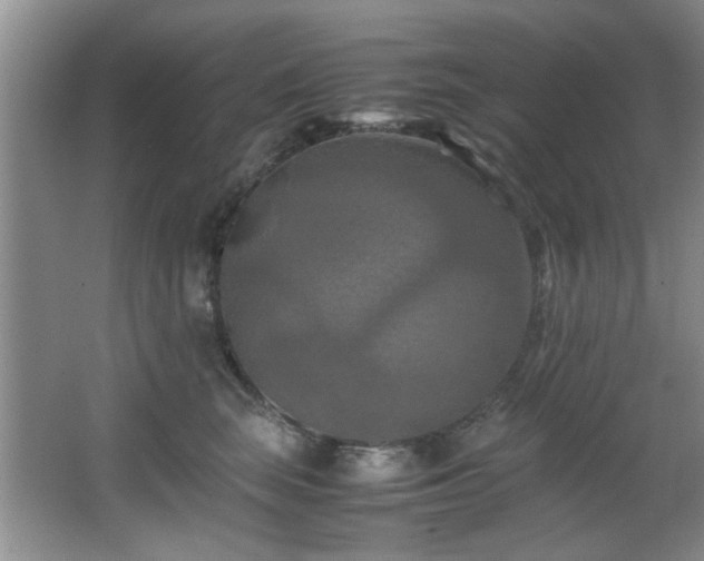 X0000066000663200603061325