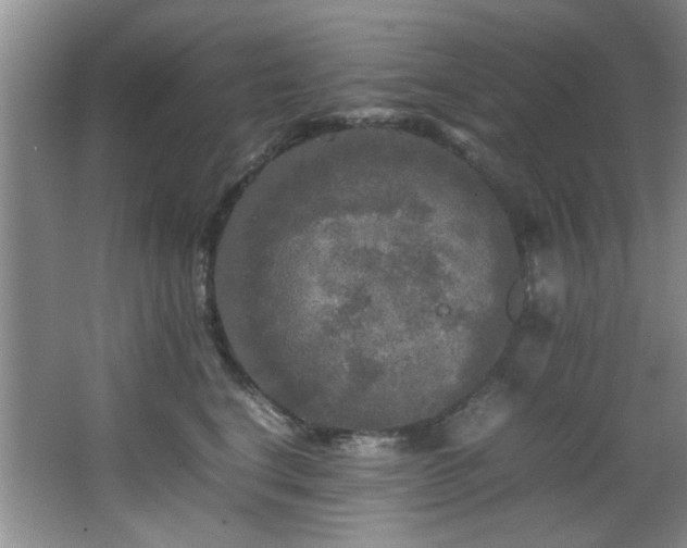 X0000066000664200603061325