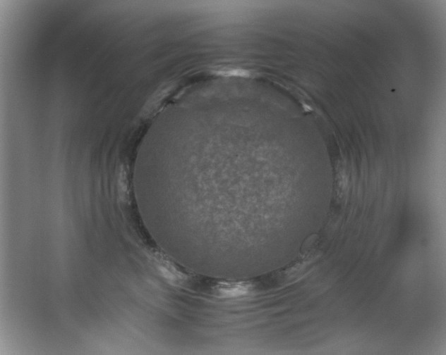 X0000066000667200603061325