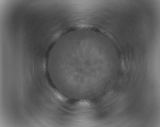 X0000066000668200603061325