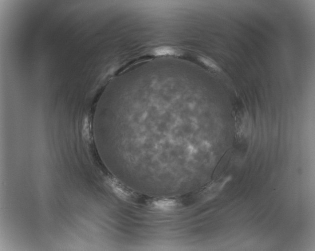 X0000066000669200603061325