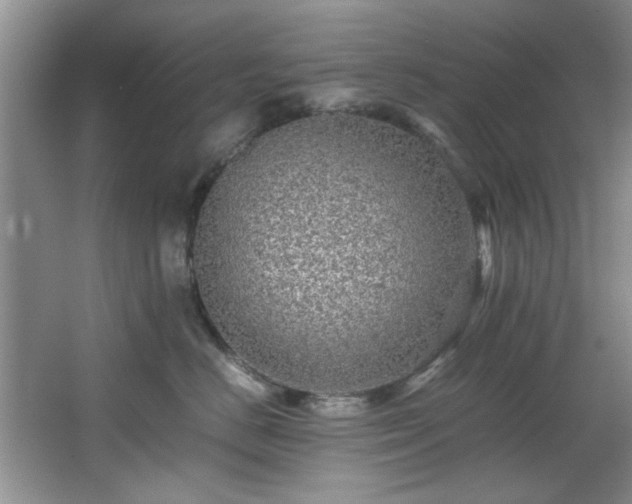 X0000066000670200603061325